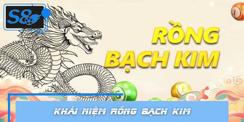 Khái niệm rồng bạch kim người chơi cần biết